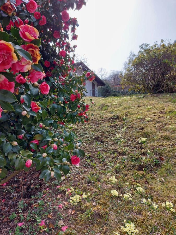 فيلا La Casa Delle Camelie ستريزا المظهر الخارجي الصورة