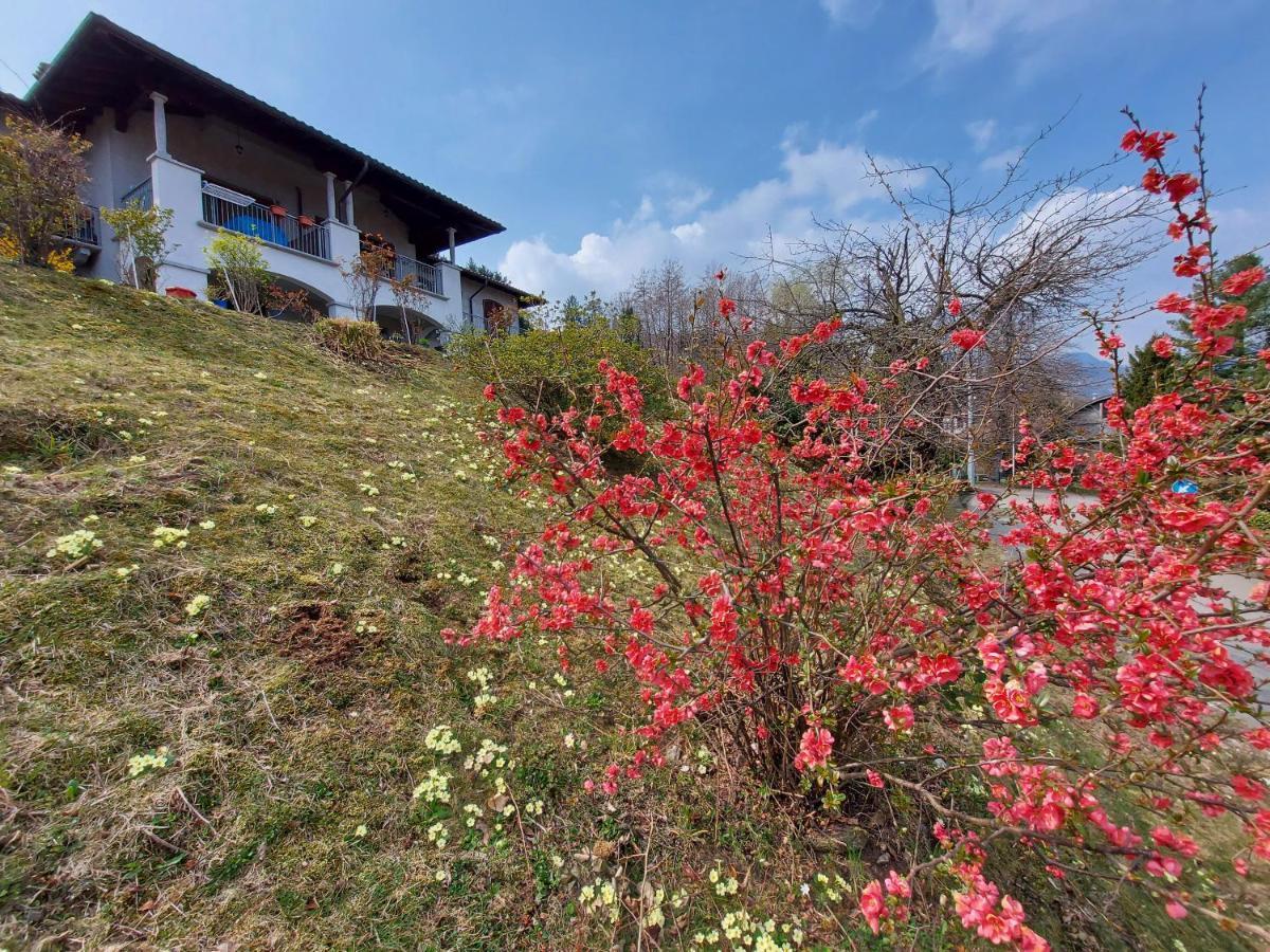 فيلا La Casa Delle Camelie ستريزا المظهر الخارجي الصورة