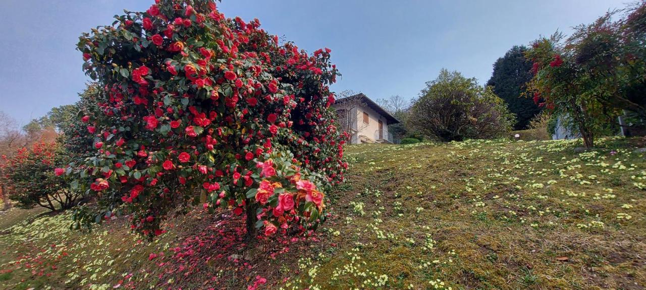 فيلا La Casa Delle Camelie ستريزا المظهر الخارجي الصورة